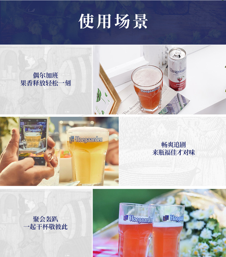 比利时国酒 福佳白啤酒 精酿啤酒 310ml*24罐 图4