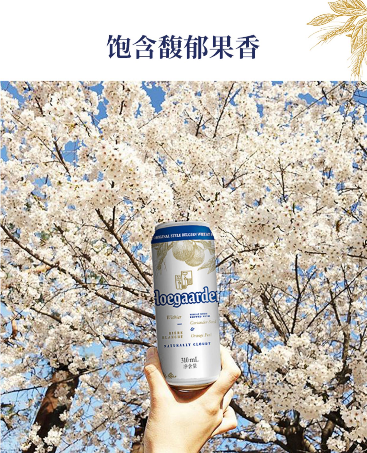 福佳比利时风味小麦白啤酒310ml*6听