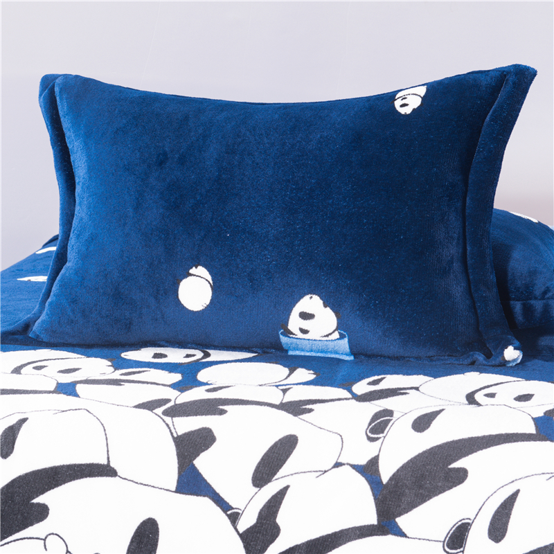 Mùa đông dày nhung gối nhung với một cặp gối flannel 48 74cm sinh viên độc thân 2 gói gối cổ