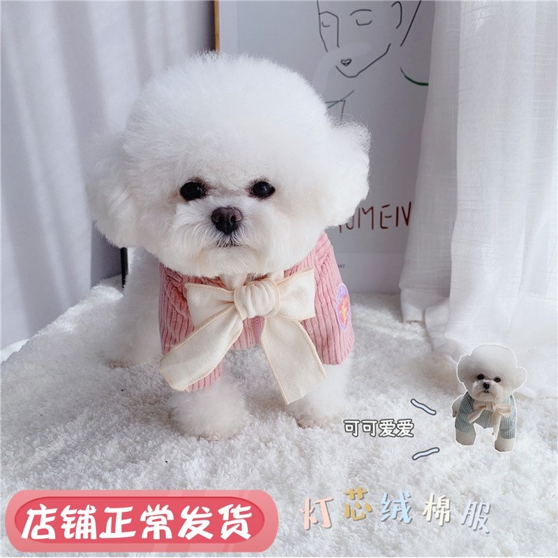 Light Core Suede Butterfly Knot Cotton Clothing ~ Puppy Cat Clothing Pet Clothing Cotton Padded Jacket Thickened warmer than bear teddy