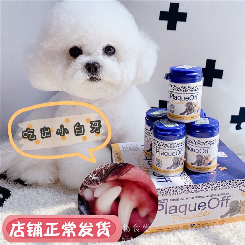 Bubble pet Proden Bolletan pooch Dentition Powder Teeth Clean Detartar Dental Calculus Deodorising 40g