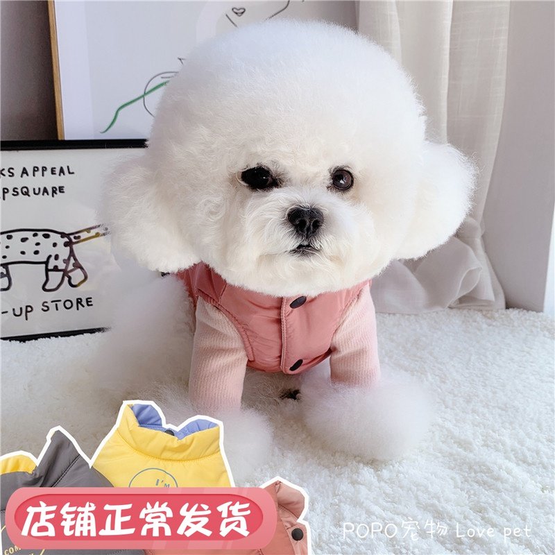 Warm light Collision Color Cotton Macchia Chia Puppy Cat Clothes Autumn Winter Warm Beating Bottom Plus Suede Plus Cotton Better Than Bear Teddy