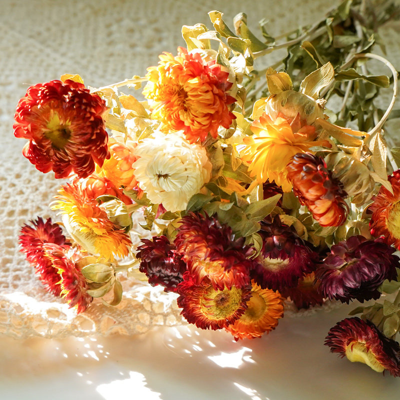 Daisy diy dried flowers real flowers air-dried chrysanthemum ins net red bouquet decoration immortal starry ornament shooting props