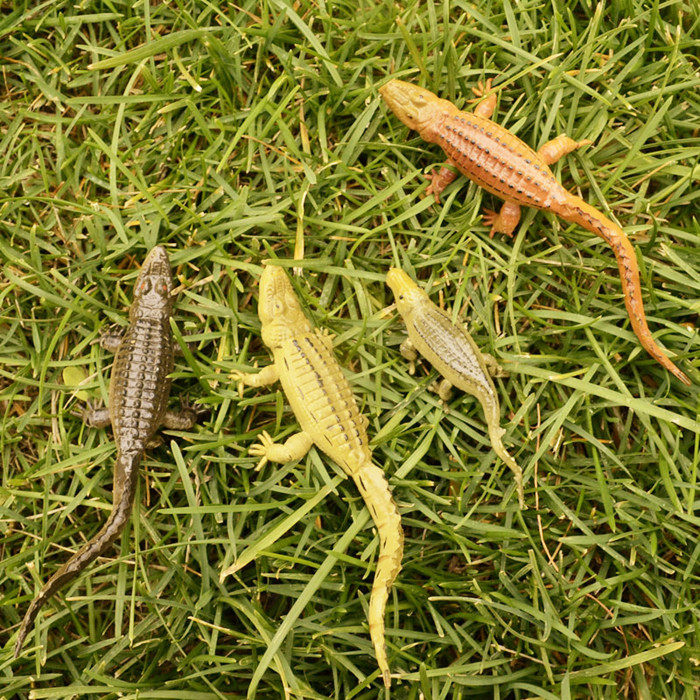 Animal Model High Simulation Insect Crocodile Micro Landscape Decoration Teaching Model Fridge Magnet Photography Prop Toy