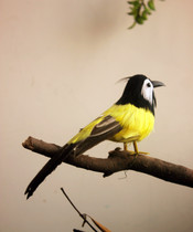 Customized various simulation tits Magpie yellow warbler color feather bird animal mold specimen photography props