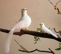 Animal simulation model simulation Pigeon Pigeon Pigeon feather mall decoration photography teaching props pet toys