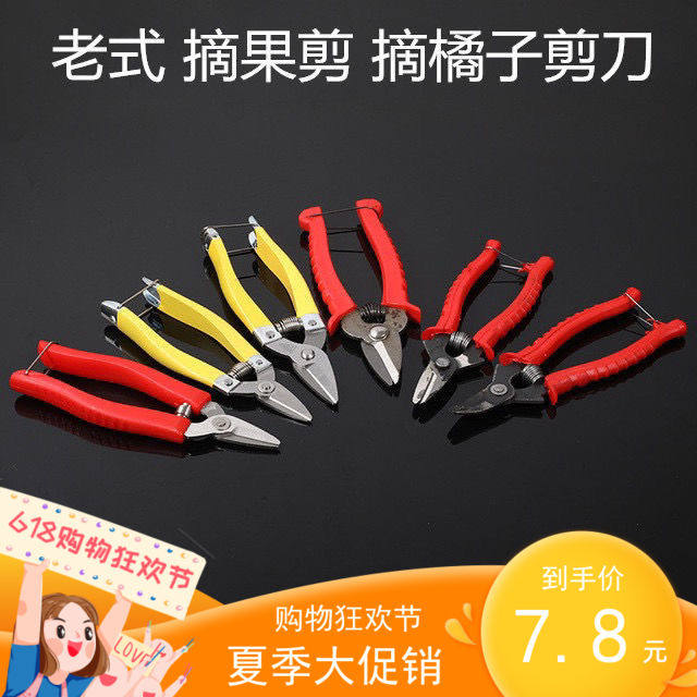 Spring hot sale old fashioned fruit picking orange orange grape whole branch whole garden art picking durable stainless steel scissors