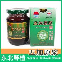 Changbai Mountain with Acanthopanax senticosus belongs to the Wusuli River short stem Wujia extract tea seed loss promotion skin sleep
