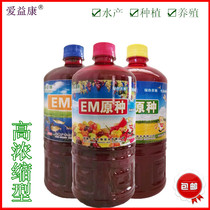 EIKEM EMBOGY PBOOL LIKE BIGHT BIGHT BASHI BASHINGH FASHINGH GROUP FASHINGH