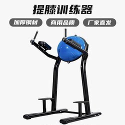 Parallel Bar Knee Lift Trainer, Abdominal Curl Knee Lift Trainer, Knee Lift Stand, Hemispherical Backrest Training Stand, Commercial Knee Lift Stand