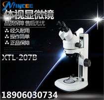 XTL-206B continuous variable magnification stereo microscope binocular microscope vertical wall microscope
