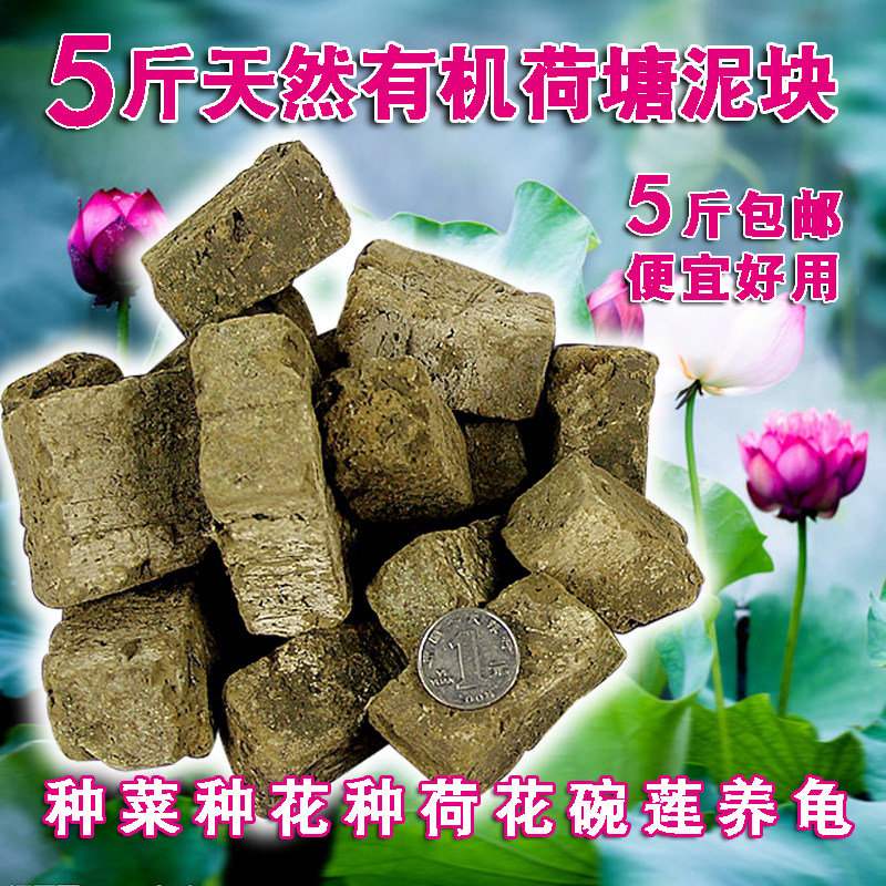 Natural Organic Lotus Pond Clay Bowl Lotus Sleeping Lotus Special Green Plant Nutrient Earth Pond Mud River Mud Silt 5 Catty