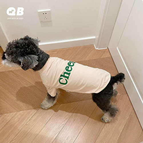 QB Собака для любимой собаки снег снеж