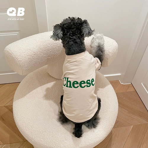 QB Собака для любимой собаки снег снеж