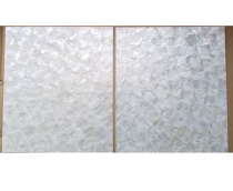 Factory direct radiation shell cabinet door drawer door custom white fan shell finish shell wallpaper