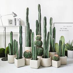 Spot quick delivery Nordic simulation cactus measuring ruler potted fake green plant cactus tropical plant shop window