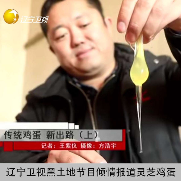 赵圈河 营养新鲜灵芝鸡蛋 30个共1500g 天猫优惠券折后¥24.8包邮(¥44.8-20) 赵圈河 营养新鲜灵芝鸡蛋 30个共1500g 天猫优惠券折后¥24.8包邮(¥44.8-20)