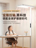 Floor-Standing Eye-Protection Desk Lamp for Studying, Full-Spectrum Children's Writing Lamp, Student Homework Vertical Classroom Lamp