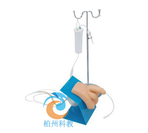 实习护理高级着装式男性导尿模型生殖器官模具训练练习培训操作