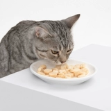 Сублимированный пробиотик, награда, 50G, питание