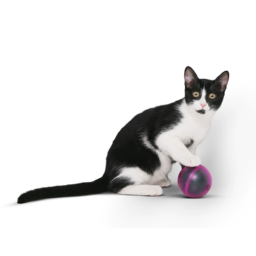 Электрическая автоматическая интеллектуальная игрушка с лазером, домашний питомец