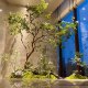 High-end simulated horse drunken wood window landscaping plants