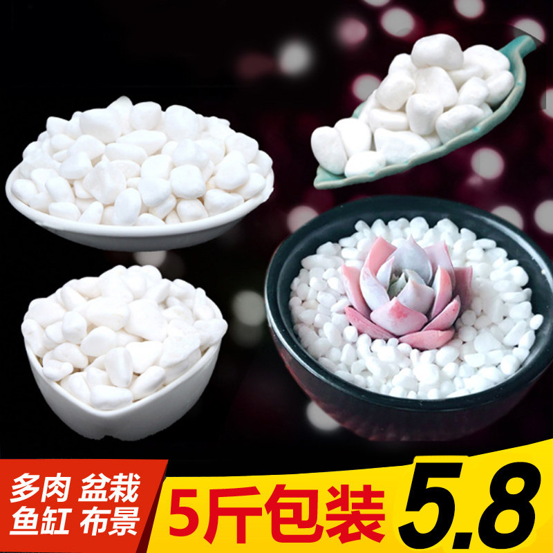 Natural pebble white stone flower pot potted pavement bonsai courtyard succulent rain flower stone fish tank bottom sand stone