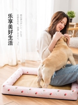 Net Red Little Dog Nest Ground Mat Ins Wind All Season Universal Pet Dog Couch Puppy Sleep a little bed Pharma Bears Bears