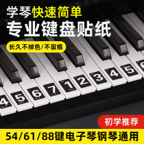 Piano Keyboard Stickers 88 61 54 Universal Electronic Piano Fiddler Stickers Five-Line Spectrum Profile Spectrum Beginner Profile Black