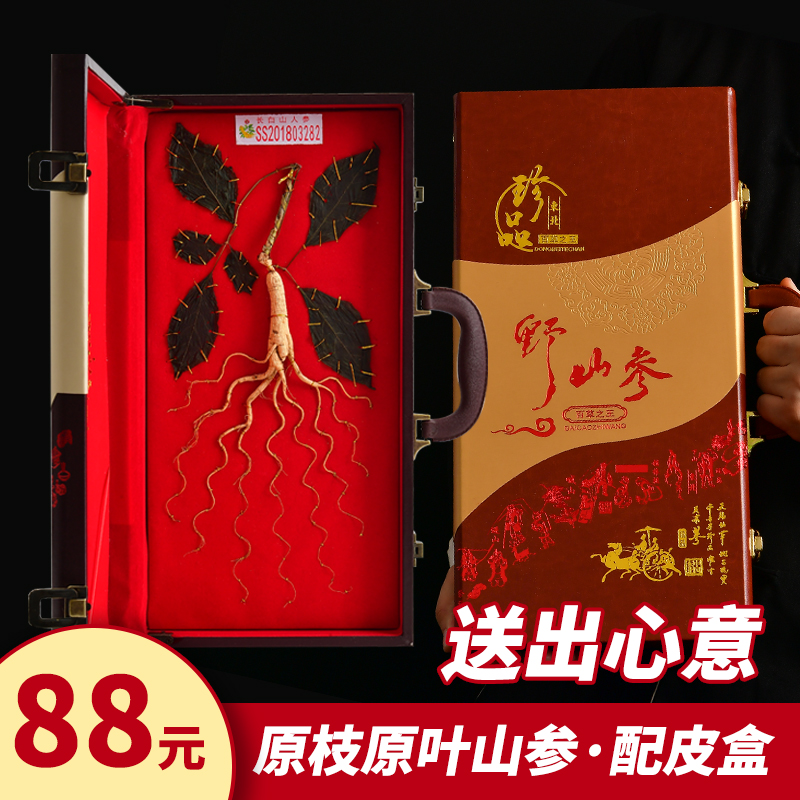 Northeast Ginseng Mountain Ginseng Courtesy Box Ginseng Whole Branches With Leaf Mountain Ginseng Forest Ginseng Long White Mountain Ginseng Gift Box