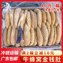 Frozen money belly beef honeycomb tripe frozen tripe semi-finished beef offal fresh frozen commercial fresh non-hairy belly