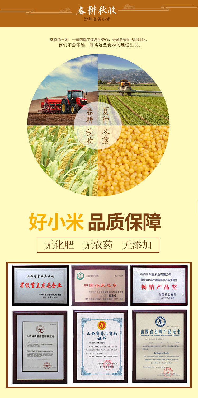 汾州香 山西汾州黄小米 5斤 熬出的米油称代参汤 图3