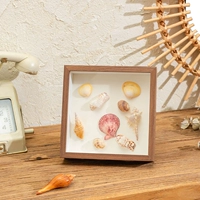 Клык из грецкого ореха (полый инструментарий доставки 3 см не включает образцы)