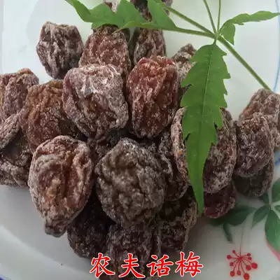 Sweet and sour salty plum farmer plum salted plum fresh candied Li plum snack preserved fruit 5kg