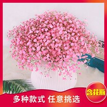 Pink starry flower dried flower real flower air dried art living room bedroom dried flower and vase set decoration ornaments