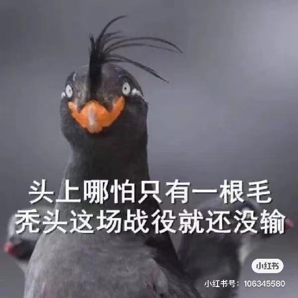 Three thousand hairs, there is always something that suits you