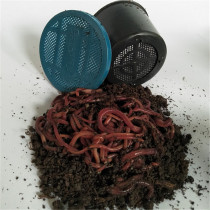 Boxed earthworm live Red earthworm bait Daping No. 2 Fishing bait fresh wild loose soil live bait