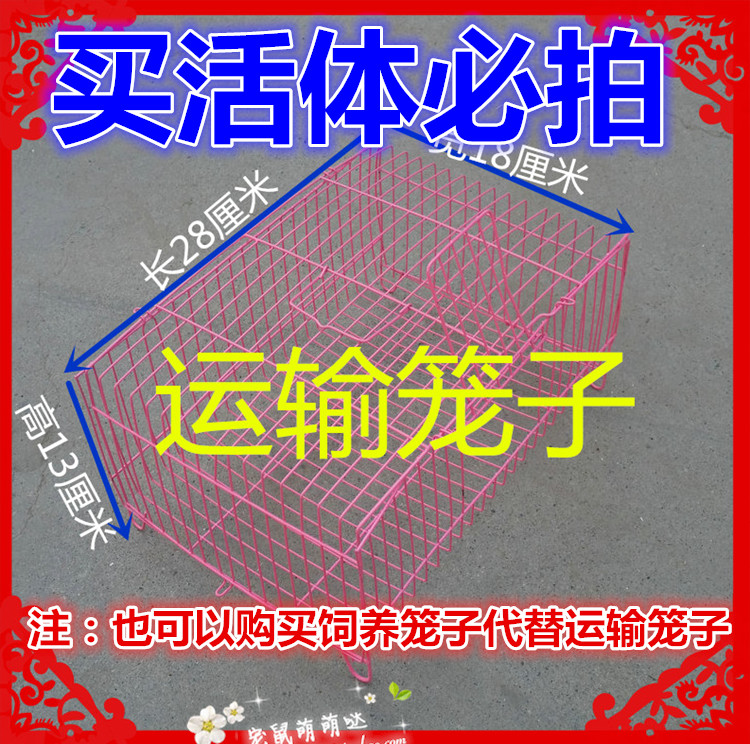 Guinea pig rabbit guinea pig transport cage dedicated to buy live must shoot cage to go out to carry the cage