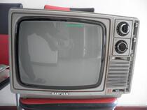 Sanyuan 14-inch black and white TV collection