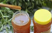 Wild flower scented sand jujube nectar pure nourishing honey summer liquid new honey 1 bottle 2 pounds promotion