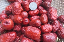 One or two mixed grade gray jujube sweet and delicious small jujube purchase full of five pounds to send a pound of Xinjiang Ruoqiang jujube wild red jujube