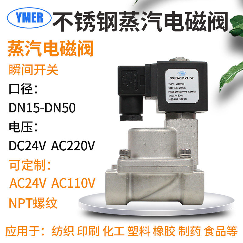 Stainless steel steam solenoid valve AC220VDC24V solenoid valve pilot piston type high temperature normally closed solenoid valve