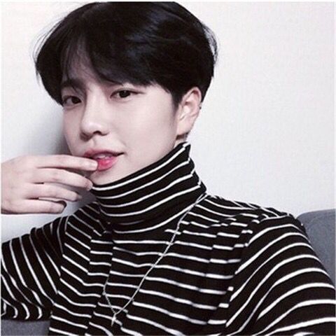Cheap Direct Sale Spring and Autumn Unisex Black and White Striped Long-Sleeve T-Shirt, Zebra Stripe Youth Autumn Top, Base Layer Shirt, High Collar