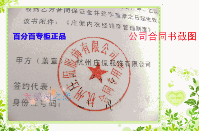 Sous-vêtement minceur simple en coton - Ref 688266 Image 27