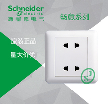 Schneider Switch Socket Changyi White 10A Dual Two Pole Four Hole Socket A3B426U2