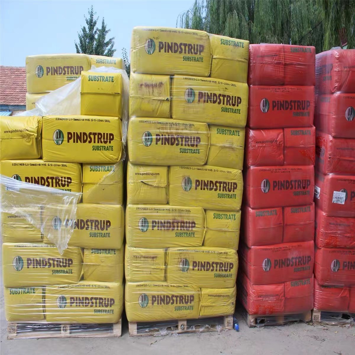 万万没想到！天猫店铺等级LV1能卖多少单？绝绝子攻略来了！