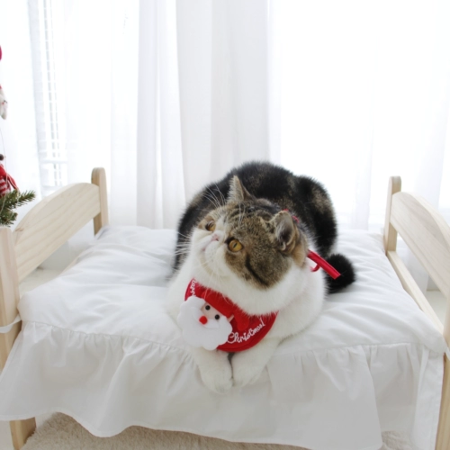 Кошка и собака Рождественская звезда Звезда рождественская елка питомец