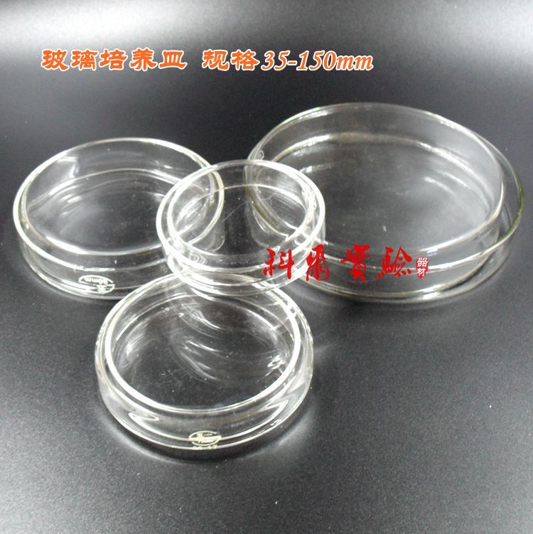 玻璃培养皿 35/60/75/90/100/120/150mm 细胞培养皿 厚实 可开票