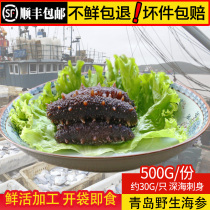 Sea cucumber living wild fresh ready-to-eat sea cucumber Single fitting 500g pure natural deep-sea tingling with frozen sea leachate box