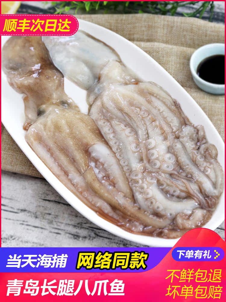 Headshot octopus seafood big long legs Live aquatic small octopus live mini instant spicy headshot